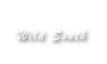 

Wild South